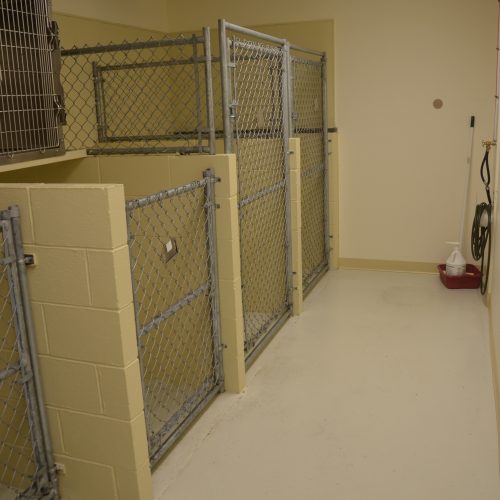 Dog Kennel Room