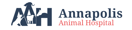 New Minas, NS Veterinarian Animal Clinic | Annapolis Animal Hospital
